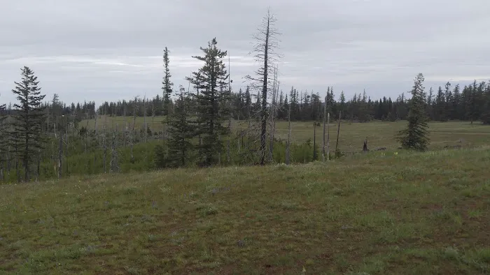 Clearwater Big House Cabin Picture 6