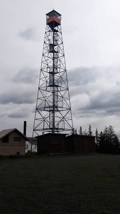 Clearwater Big House Cabin Picture 7