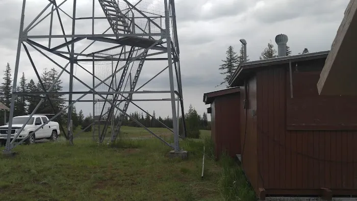 Clearwater Big House Cabin Picture 9