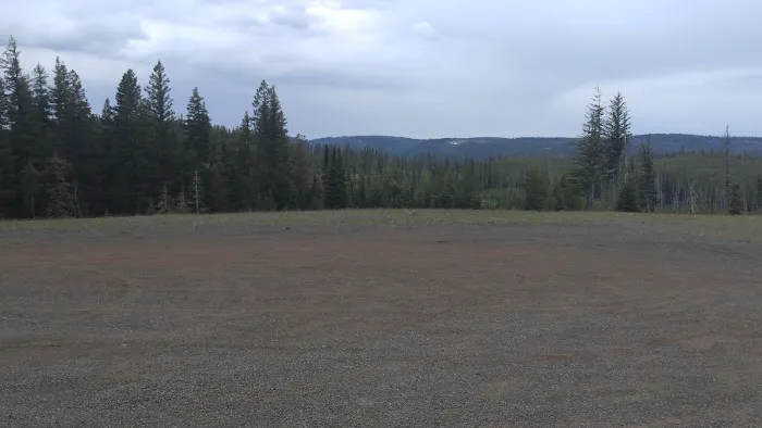 Clearwater Big House Cabin Picture 8