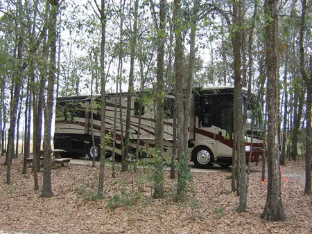 Albany RV Resort Inc Picture 8