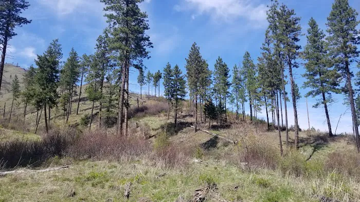 Wenaha -Tucannon Wilderness Dispersed Campground #6 Picture 2