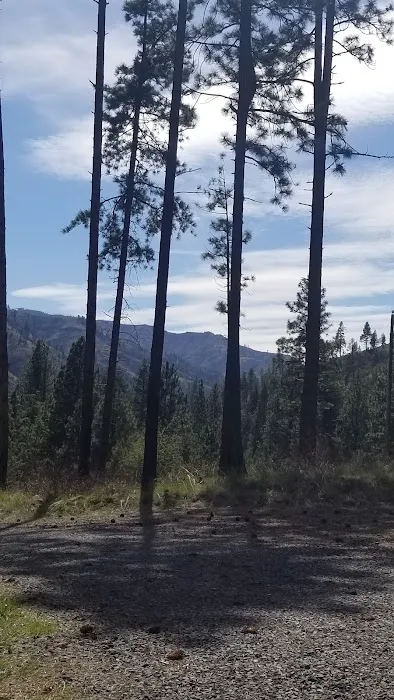 Wenaha -Tucannon Wilderness Dispersed Campground #6 Picture 3