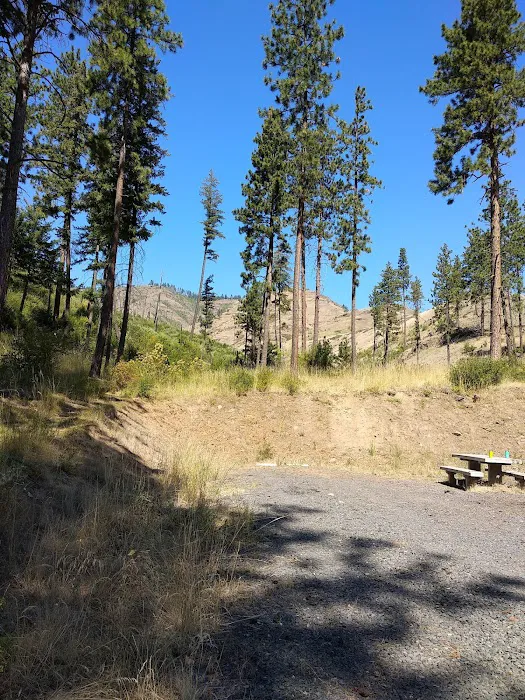 Wenaha -Tucannon Wilderness Dispersed Campground #6 Picture 1