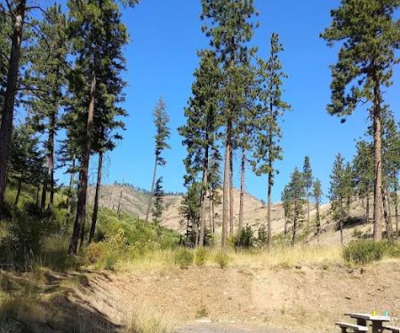 Wenaha -Tucannon Wilderness Dispersed Campground #6