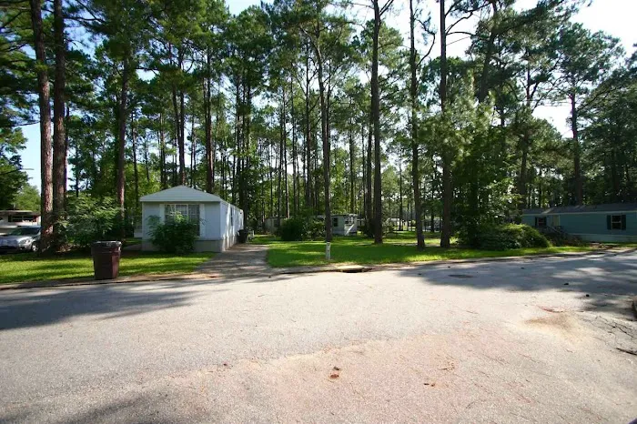 Paradise Village of Albany Picture 3