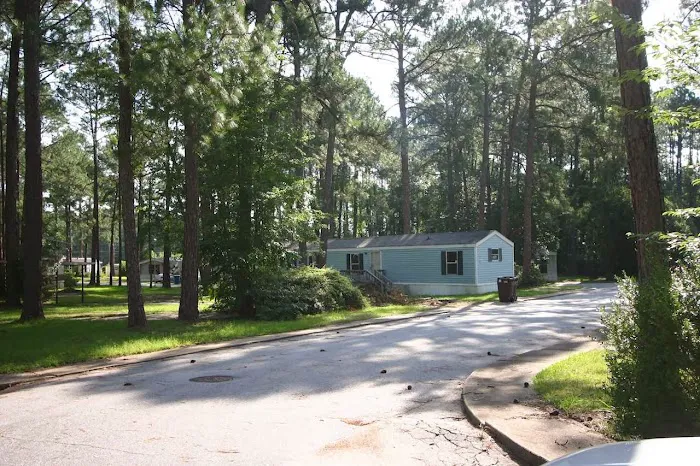 Paradise Village of Albany Picture 2