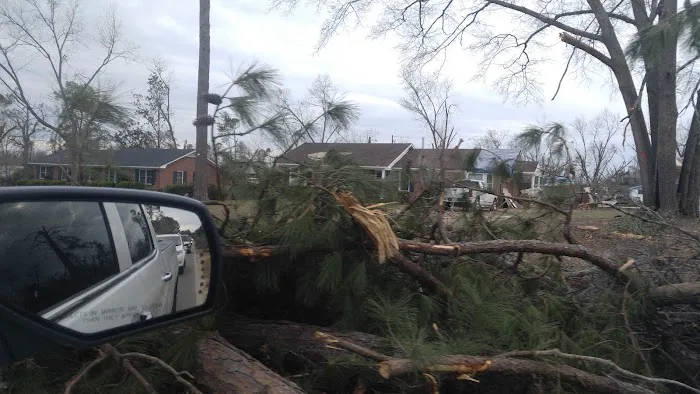 Paradise Village of Albany Picture 7