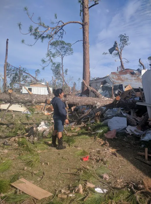 Paradise Village of Albany Picture 6