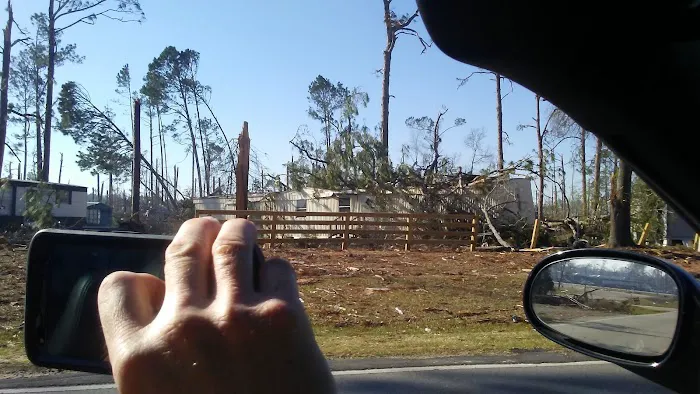 Paradise Village of Albany Picture 5