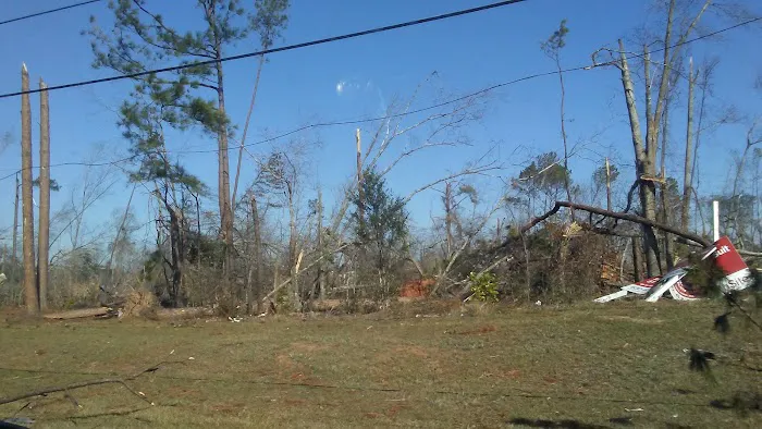 Paradise Village of Albany Picture 9