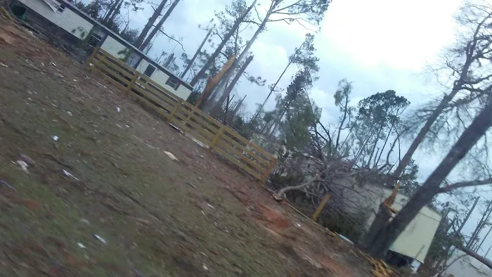 Paradise Village of Albany Picture 10