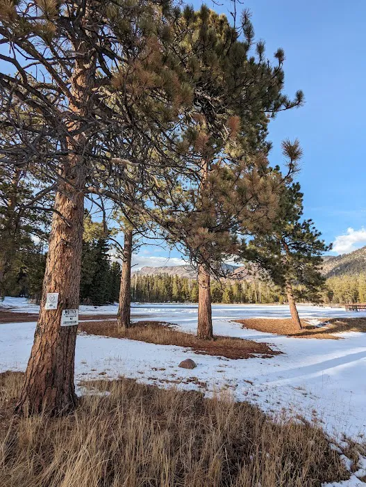 Big Springs Campground Picture 1