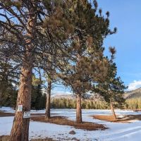 Big Springs Campground ico