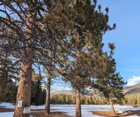 Big Springs Campground