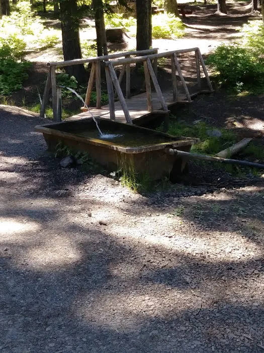 Big Springs Campground Picture 8