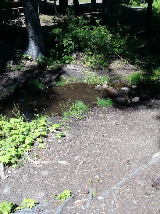 Big Springs Campground Picture 5