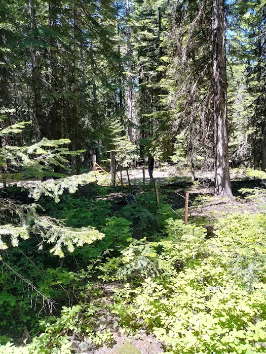 Big Springs Campground Picture 6