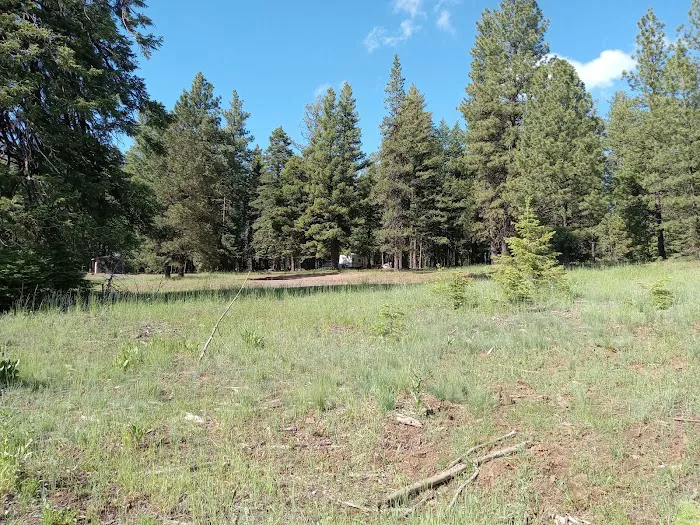 Alder Thicket Campground Picture 6