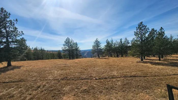 Alder Thicket Campground Picture 9