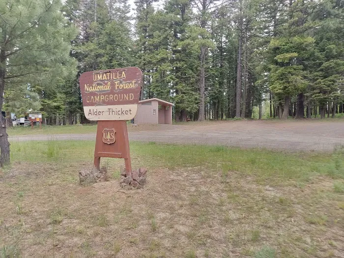 Alder Thicket Campground Picture 10