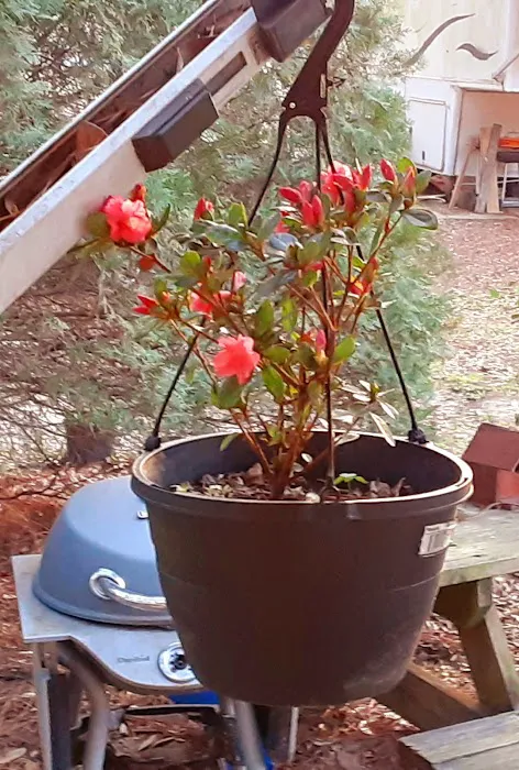 Devencrest RV Sales & Services Picture 2