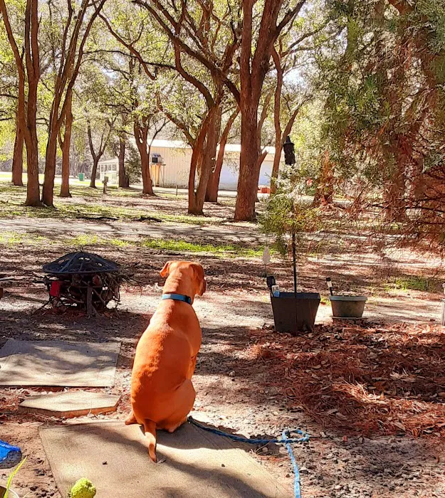 Devencrest RV Sales & Services Picture 5