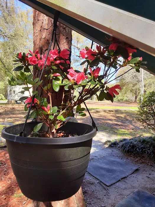 Devencrest RV Sales & Services Picture 9