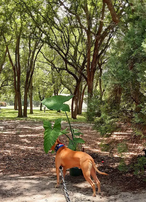 Devencrest RV Sales & Services Picture 4