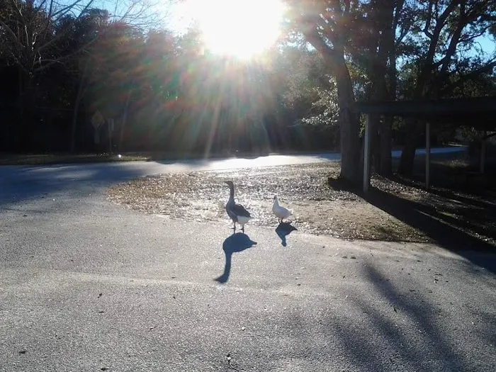 Devencrest RV Sales & Services Picture 10