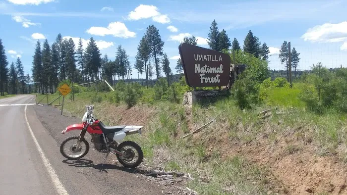 Forest Boundary Campground Picture 3