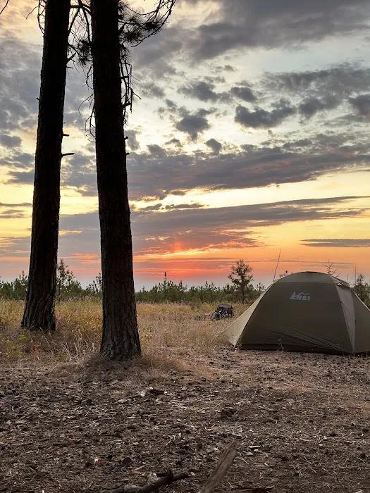 Forest Boundary Campground Picture 6