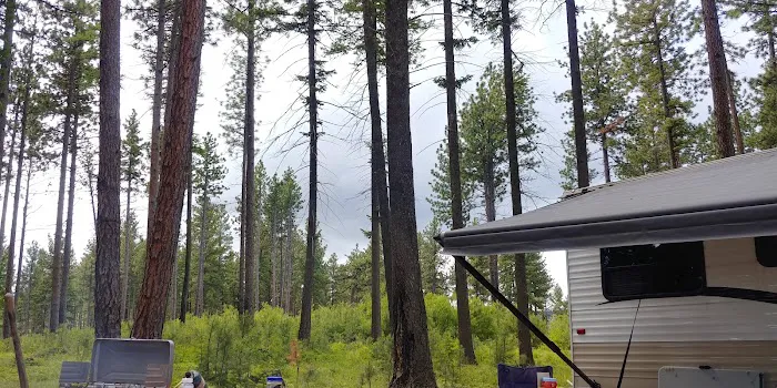 Forest Boundary Campground Picture 8