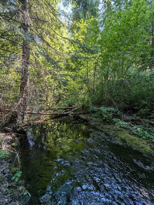 Love's RV Hookup Picture 3