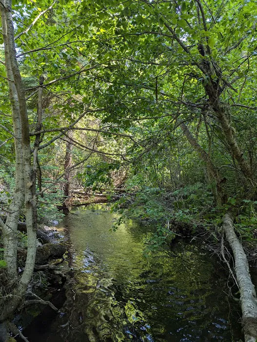 Love's RV Hookup Picture 8