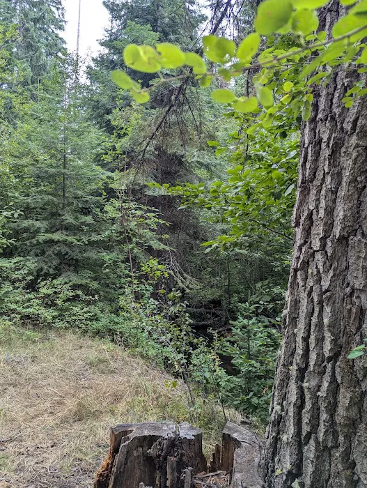 Love's RV Hookup Picture 6