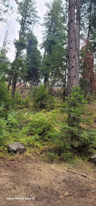 Love's RV Hookup Picture 7