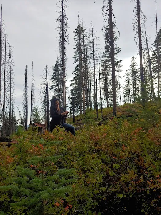 Wickiup Campground Picture 3