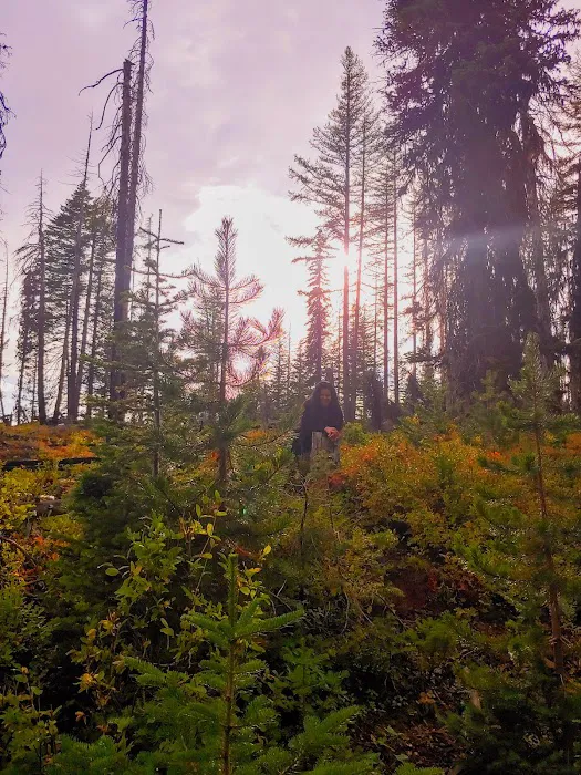 Wickiup Campground Picture 6