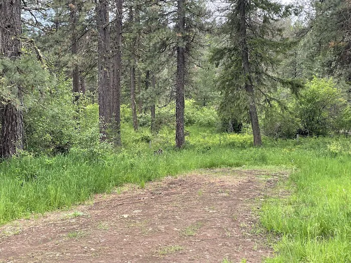 Mountain View, Washington Picture 3