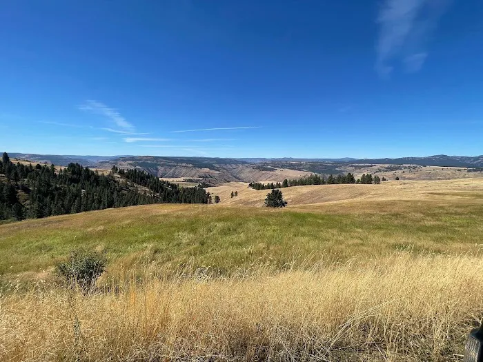 Grizz Flats Campground Picture 2