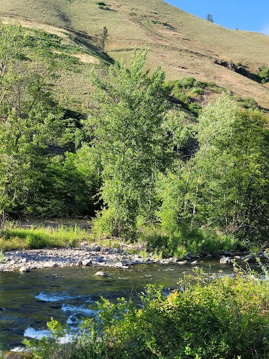 Grizz Flats Campground Picture 4