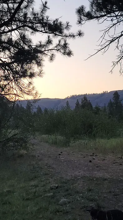 Grizz Flats Campground Picture 7