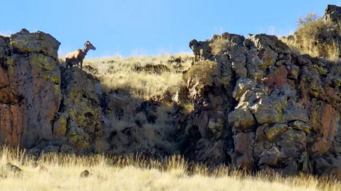 Snyder Bar Picture 3