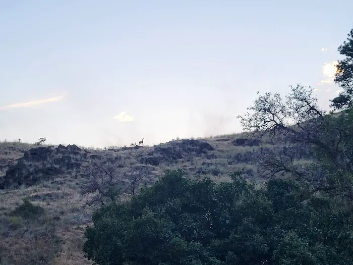 Snyder Bar Picture 2