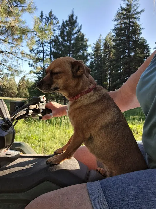 Coyote Campground Picture 3