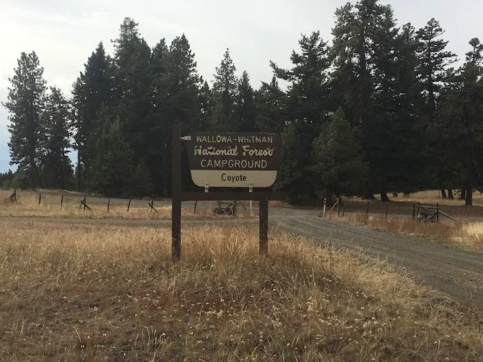 Coyote Campground Picture 1