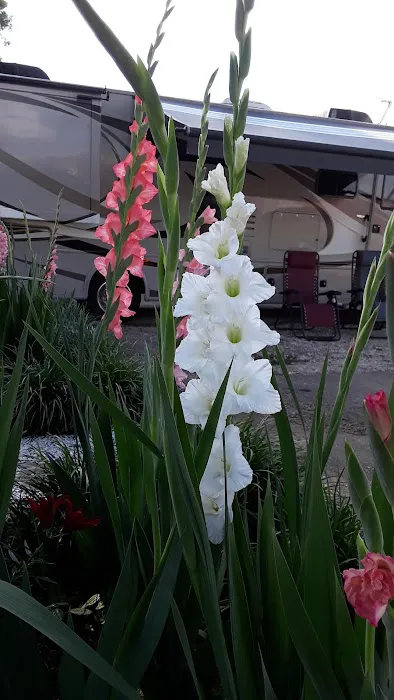 Downtown Red Bay RV Park Picture 7