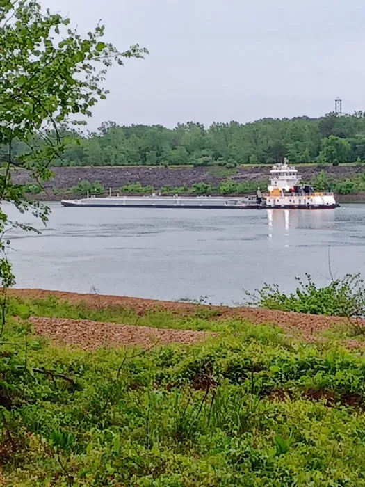 Pickwick Dam RV Park Picture 2