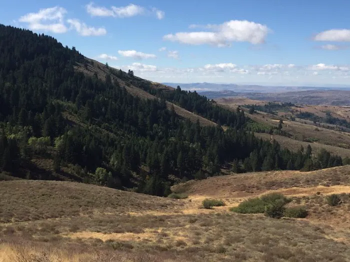 China Flats Picture 1